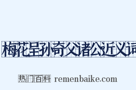 梅花呈孙奇父诸公近义词是什么意思的图片
